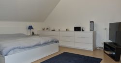 Bel immeuble de rapport 6 chambres