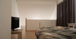 Bel immeuble de rapport 6 chambres