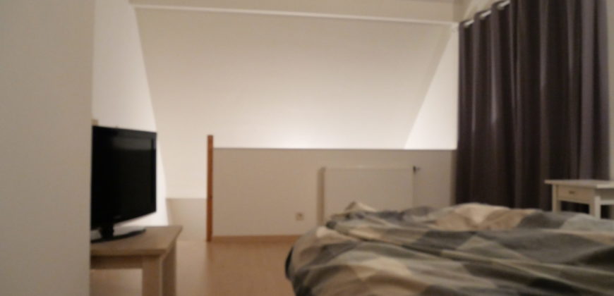 Bel immeuble de rapport 6 chambres