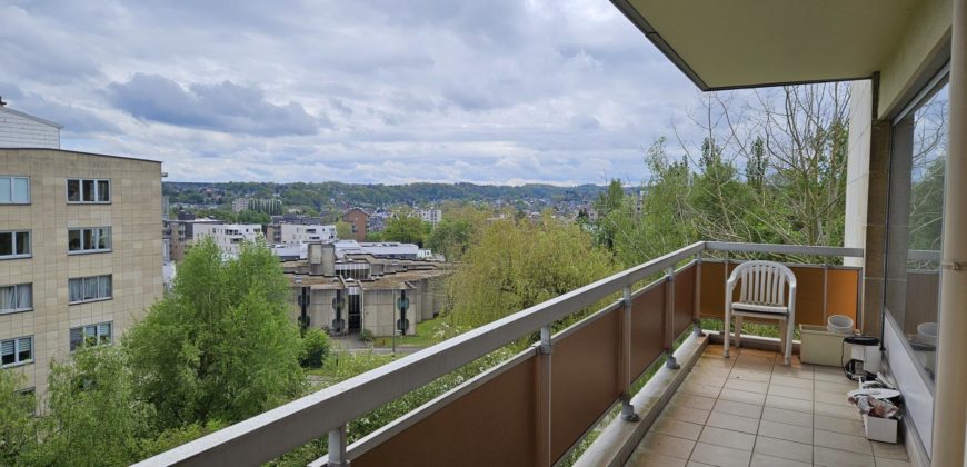 Appartement 2 chambres avec terrasse – Parc des Saules, Wavre