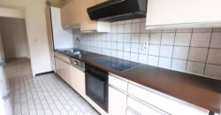 Appartement 2 chambres avec grande terrasse – Parc des Saules, Wavre